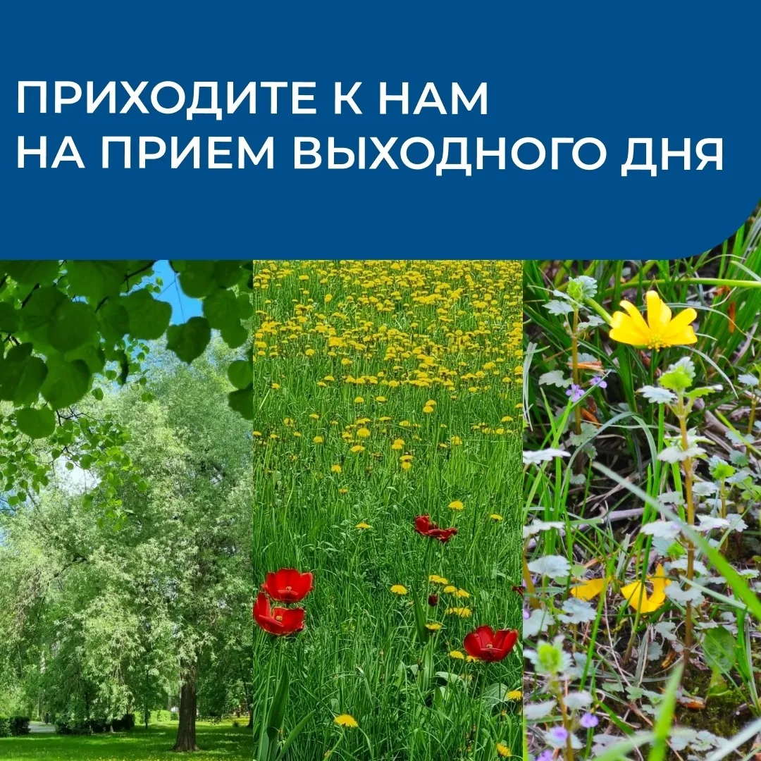 👋 Министерство приглашает граждан на прием выходного дня — 30 мая
