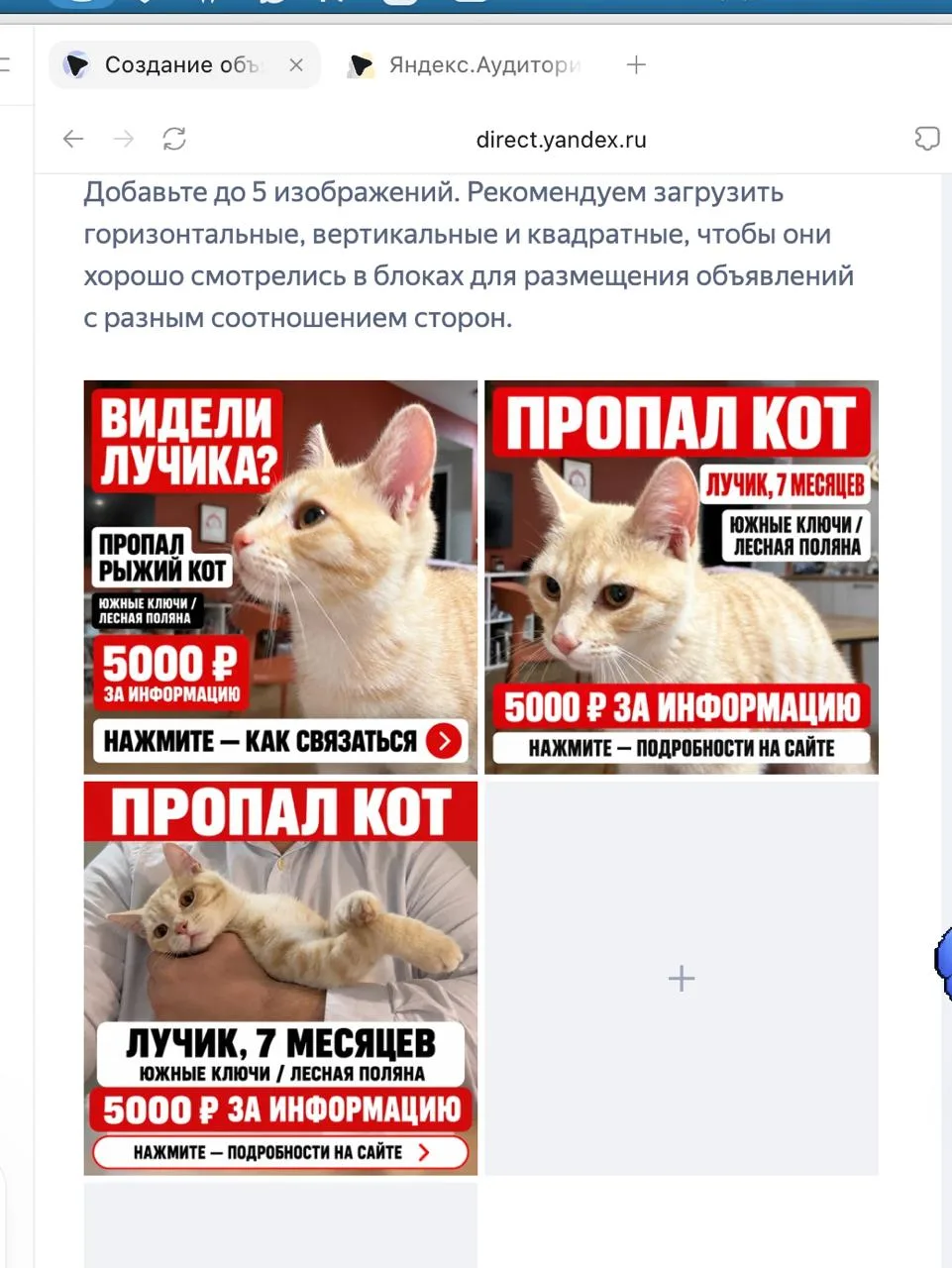 Жители будут видеть рекламу на 74ру, Яндекс Погода, Авито и ВК