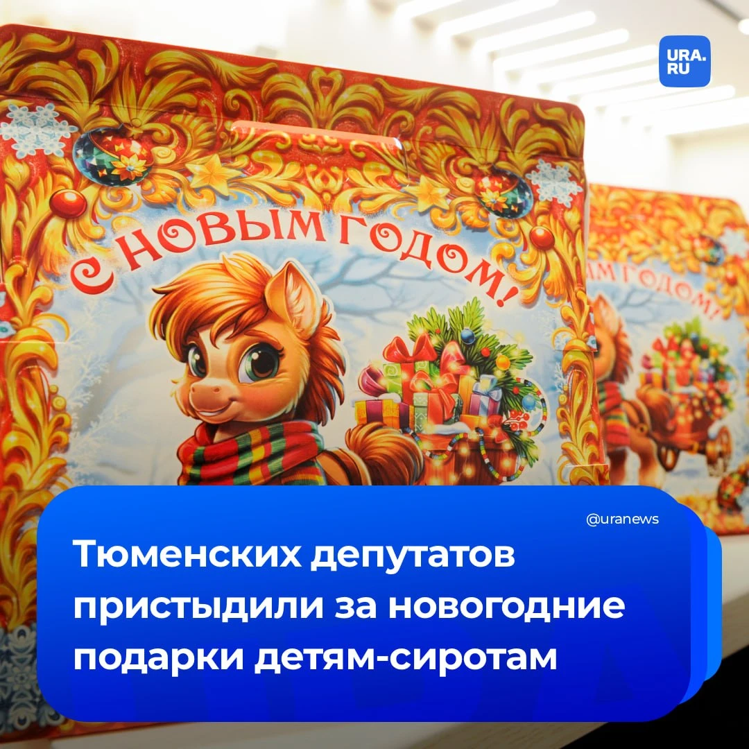 Тюменскую облдуму пристыдили за покупку новогодних подарков сиротам на бюджетные деньги