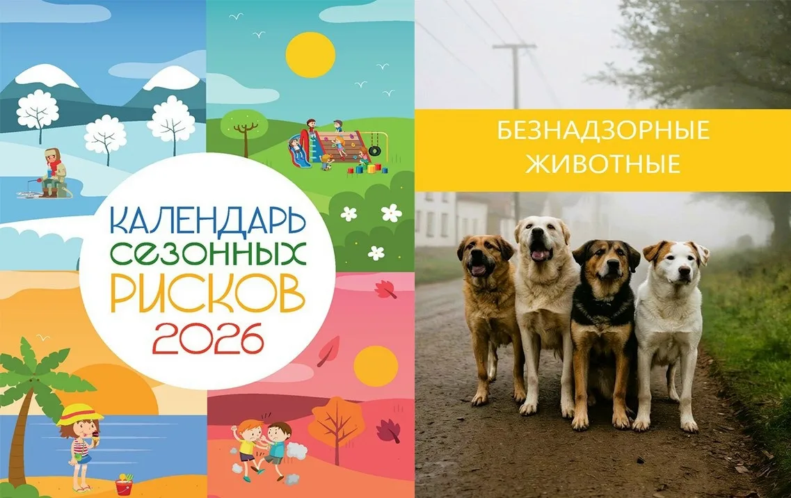 ☝ Встреча с безнадзорным животным не должна стать угрозой