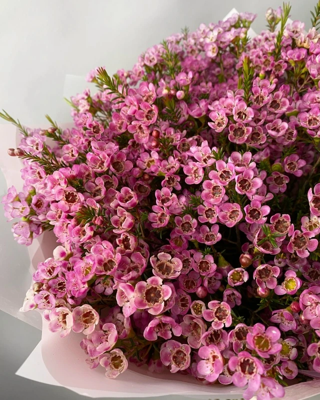 ‎💐Сегодня День Рождения отмечает медицинская сестра врача общей практики Ципьинской вр...