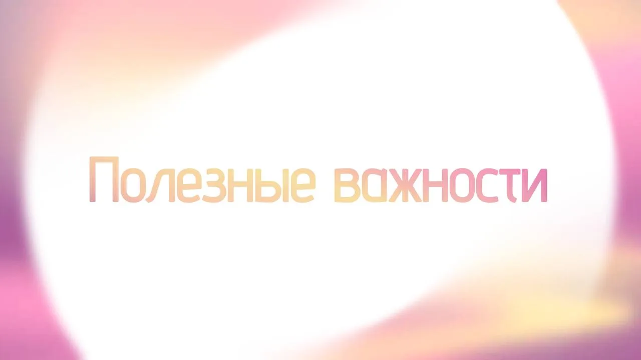 📚Мы решили, что начало учебного года отличный повод собрать для вас новую подборку пол...