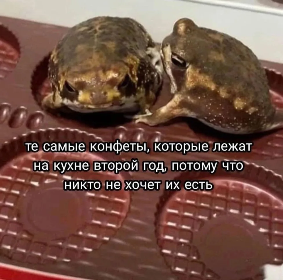 Наш канал ЛУЧИК РАДОСТИ ✨