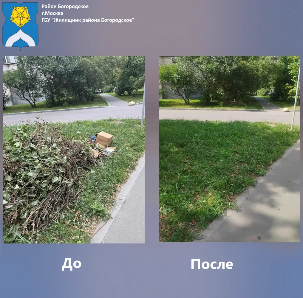 ГБУ «Жилищник района Богородское» проведена уборка дворовой территории по адресу: