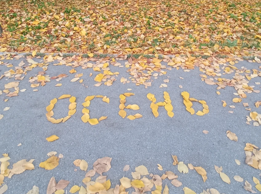 Кто-то порадовал прохожих в Молочном