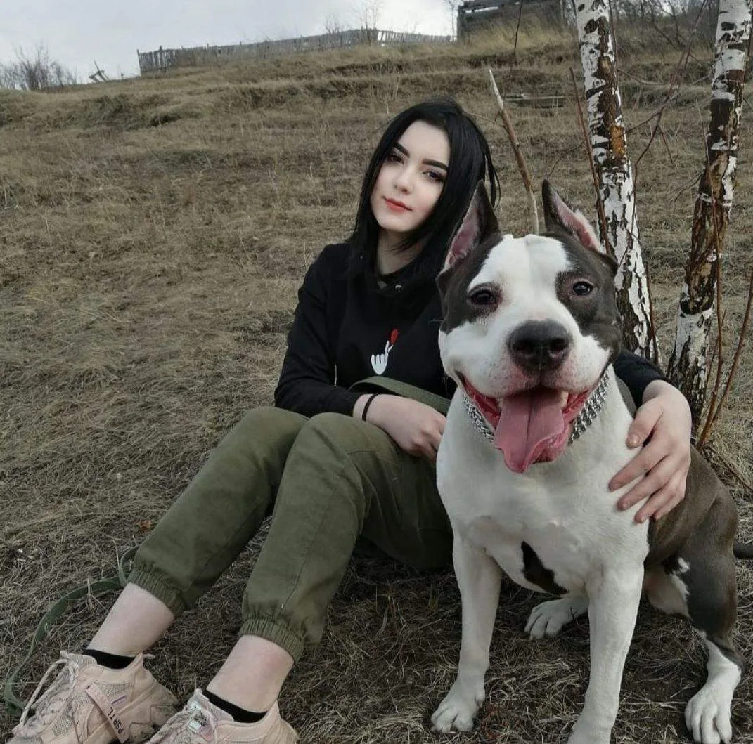 🐶Собаки наших подписчиков🐶