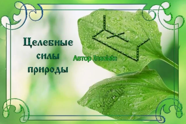 Став Целебные силы природы, автор Insolate    Перт – включает внутренние резервы организма.  Уруз – 