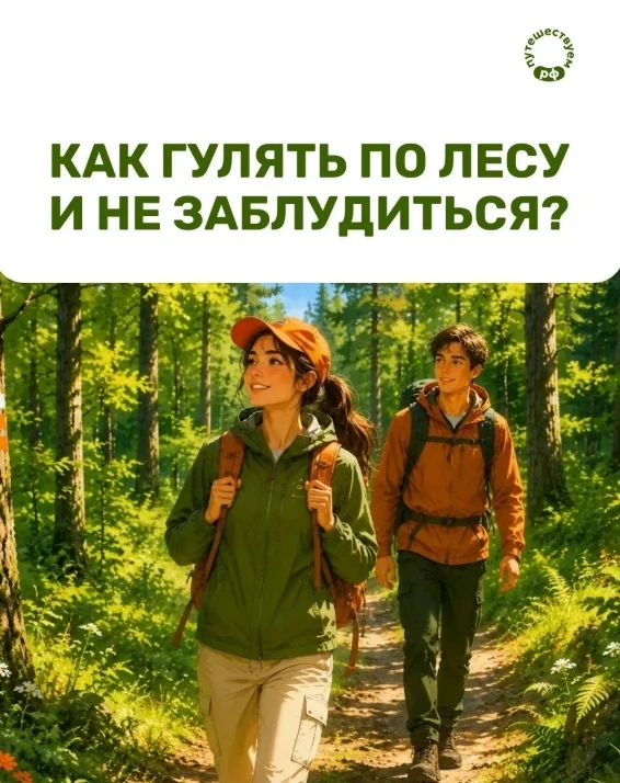 Даже знакомый лес может преподнести сюрпризы, поэтому лучше подготовиться заранее 🍓 🍄‍🟫 
 
В карт