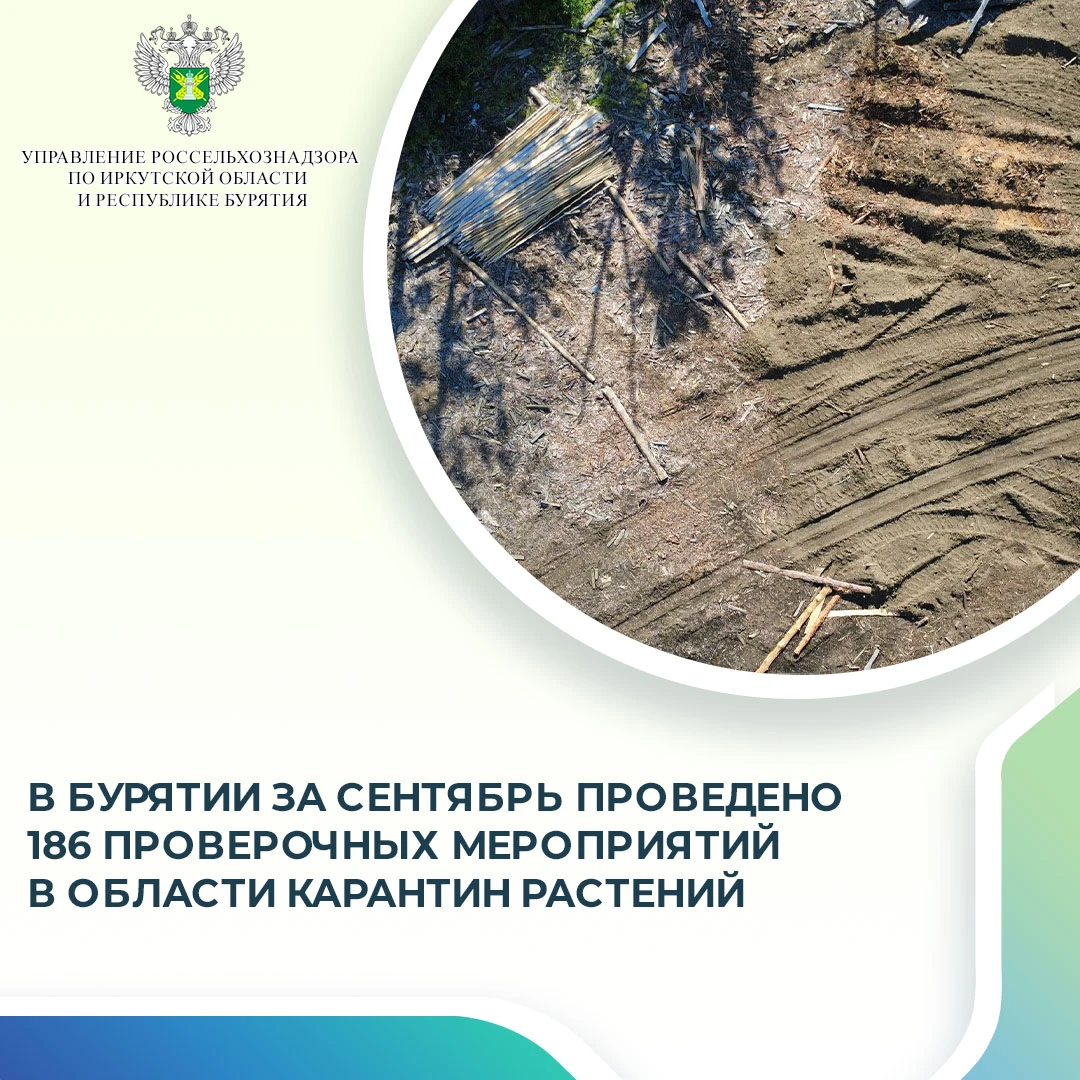 В сентябре 2026 года  Управление Россельхознадзора по Иркутской области и Республике Бу...