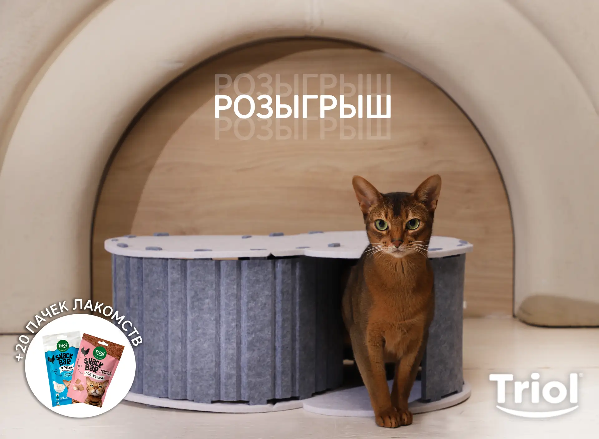 🎁Дарим домики вашим котикам🎁