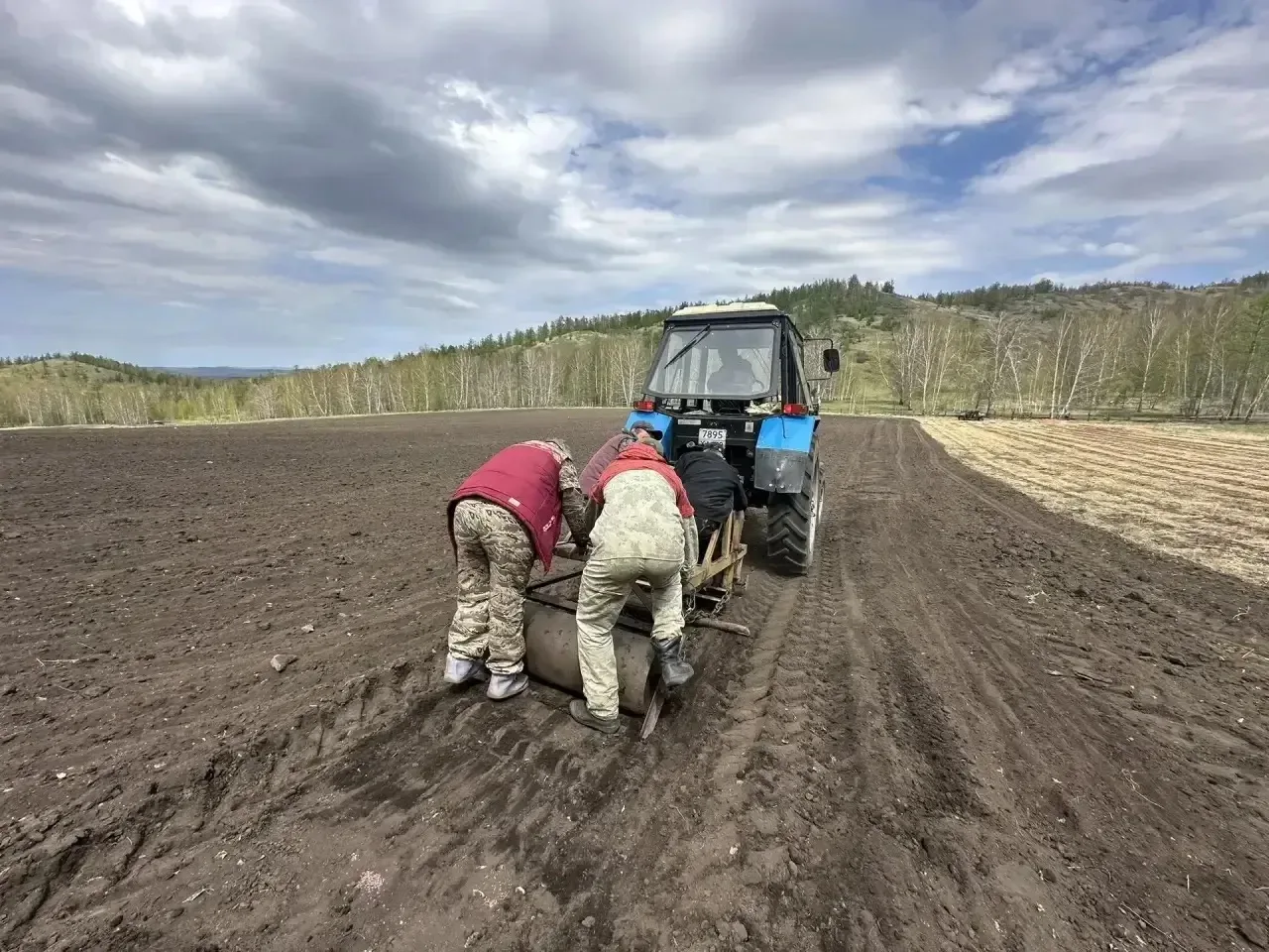 В Хакасии началась посевная лесная кампания🌲  В Туимском лесничестве специалисты высадили 30 кг семя
