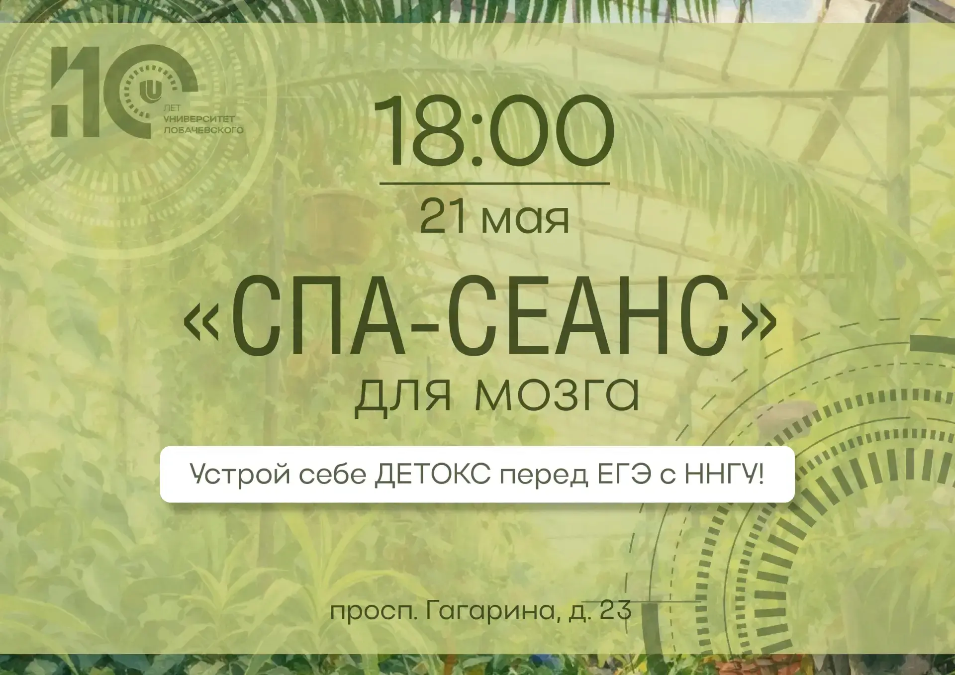 🧖‍♀️ СПА для мозга: ННГУ приглашает на детокс перед ЕГЭ