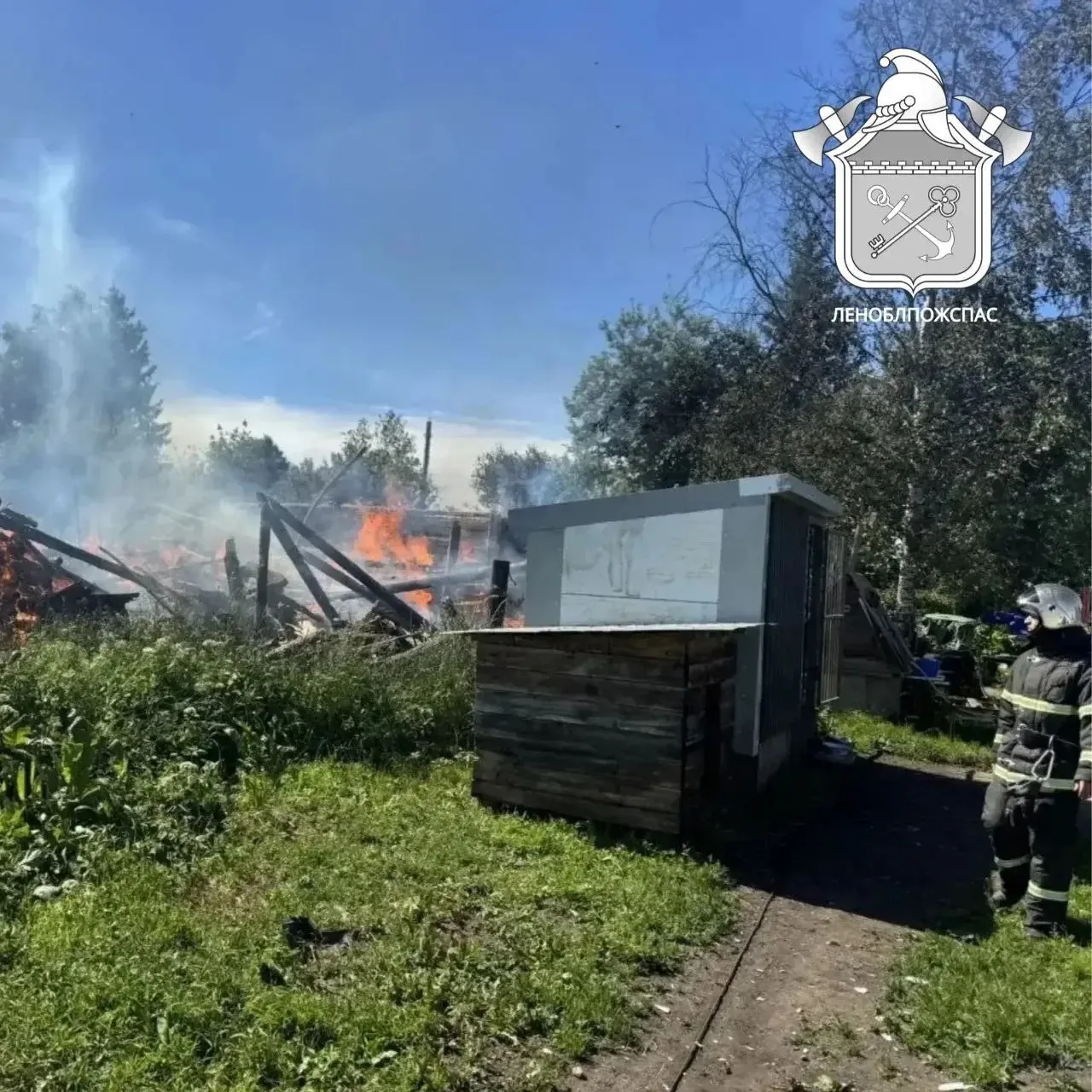 Доброе утро, друзья!