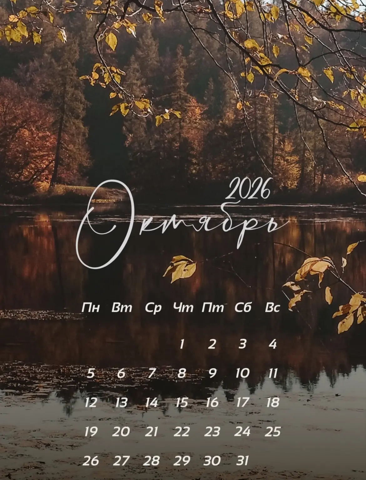📍Рубрика: День с НГПУ