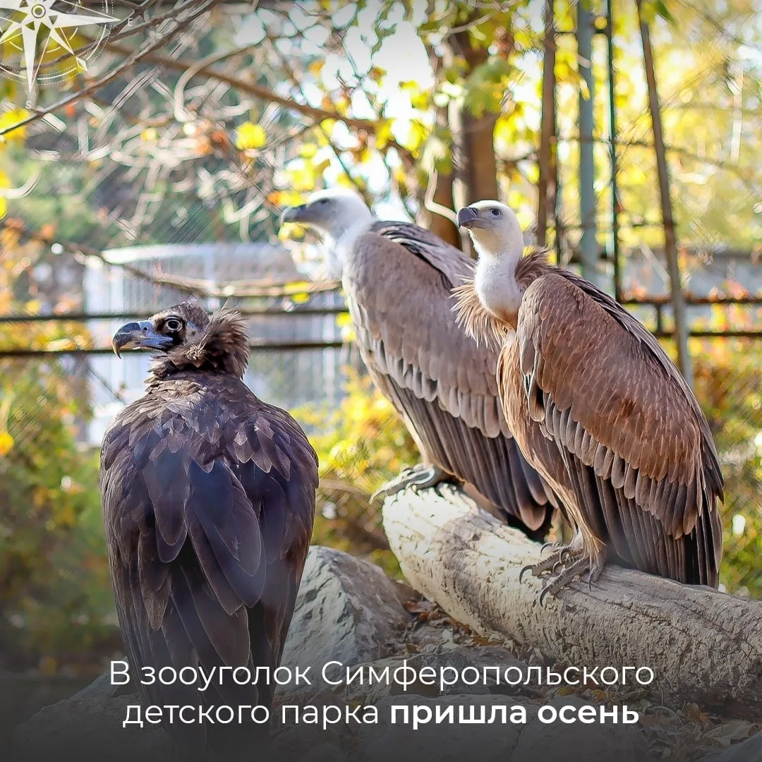 Пушистые жители зооуголка готовятся к холодам 😻