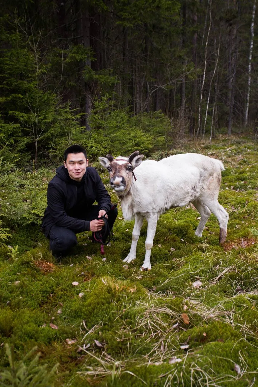 🦌 Знакомимся с северными оденями в заповеднике «Лесная избушка»  Во время экскурсии юные гости узнаю