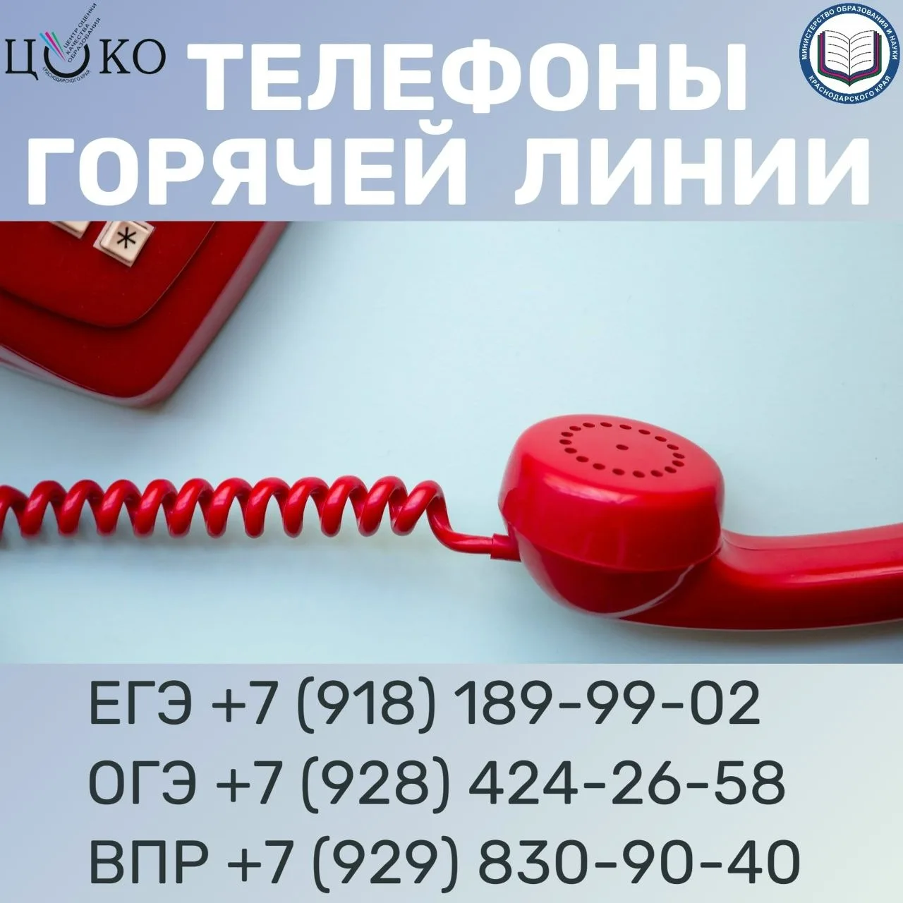 «Горячие линии» по вопросам организации и проведения ЕГЭ, ОГЭ и ВПР в Краснодарском крае осуществляю