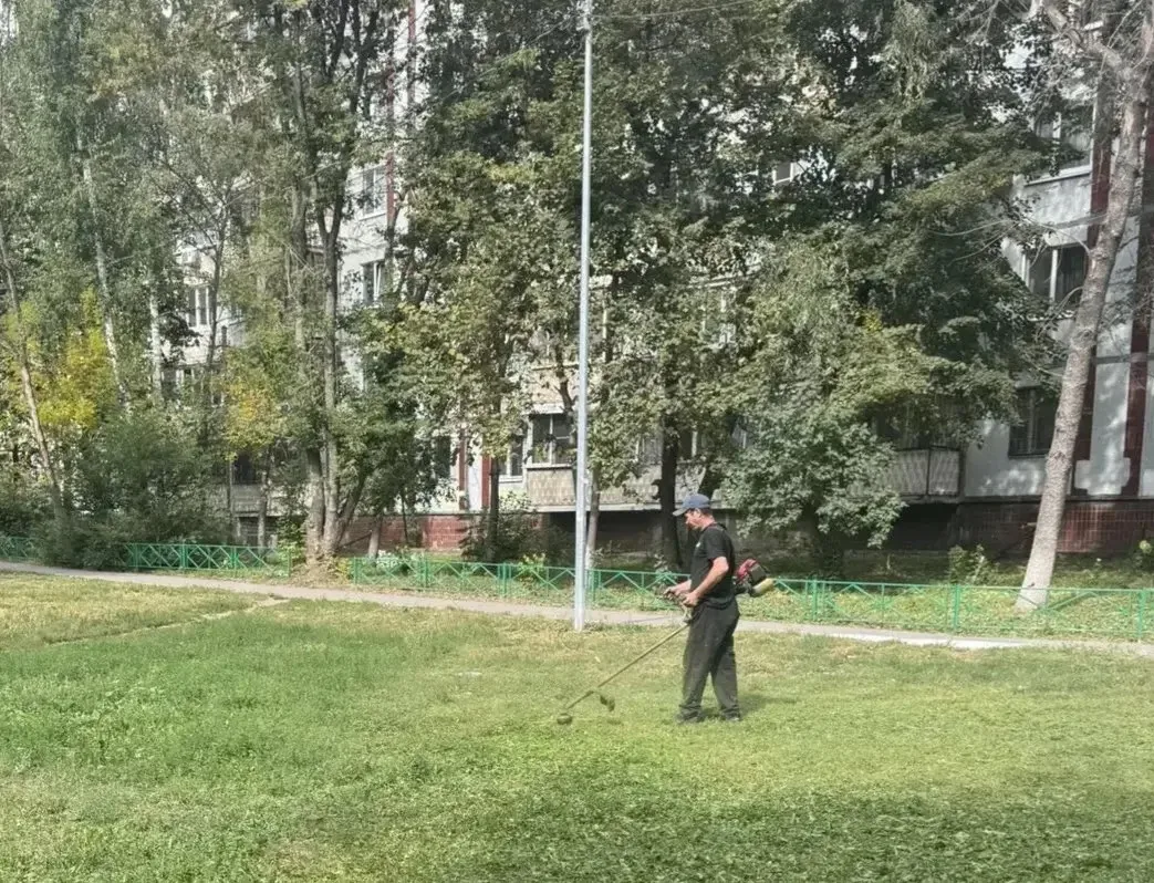 🧹Покос травы на придомовой территории по адресам: