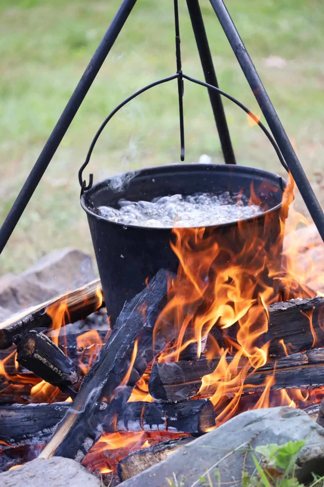 🏕️ Августовскую конференцию продолжил педагогический турслёт!