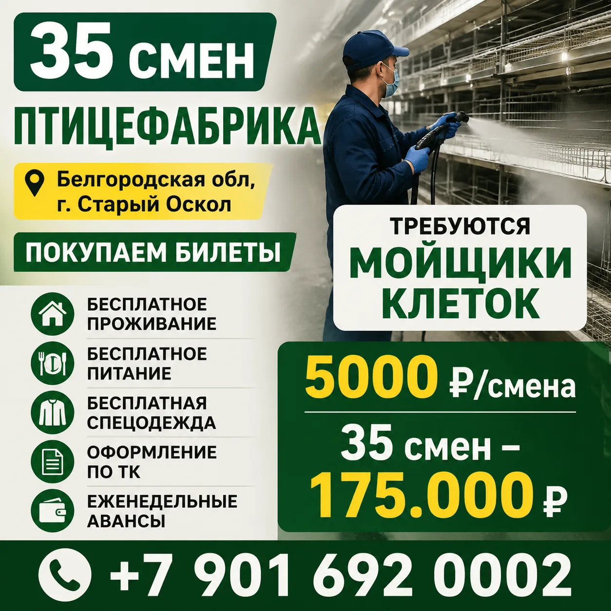 🐥Птицефабрика🐥📍 Белгородская обл, г. Старый Оскол