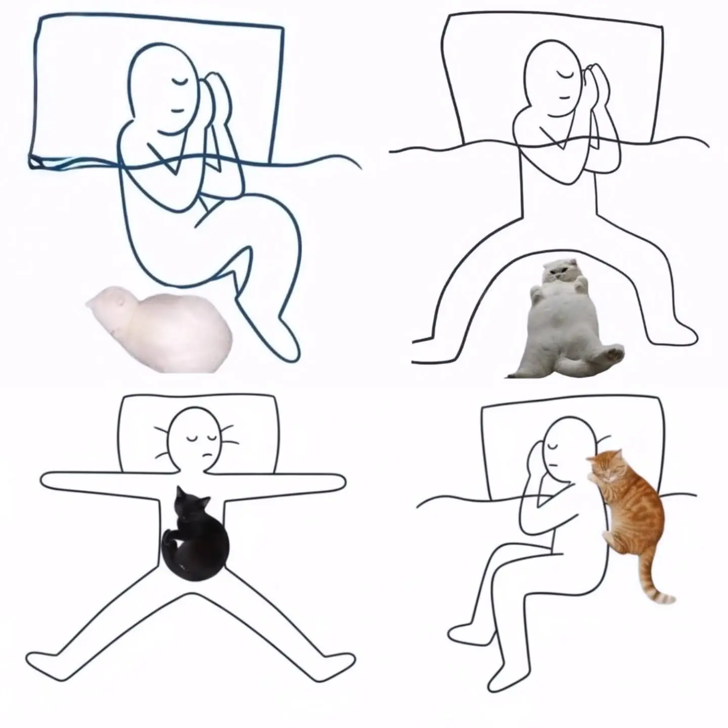 Доброго всем утра 😂
