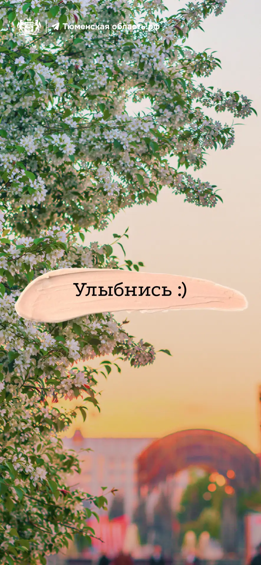 🌸 Весна теперь всегда с вами! Даже на экране телефона  Цветение деревьев и кустарников в Тюмени — не