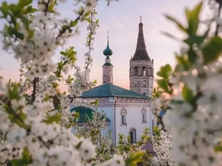 Радость жизни необычайная - прямо с доставкой на дом
