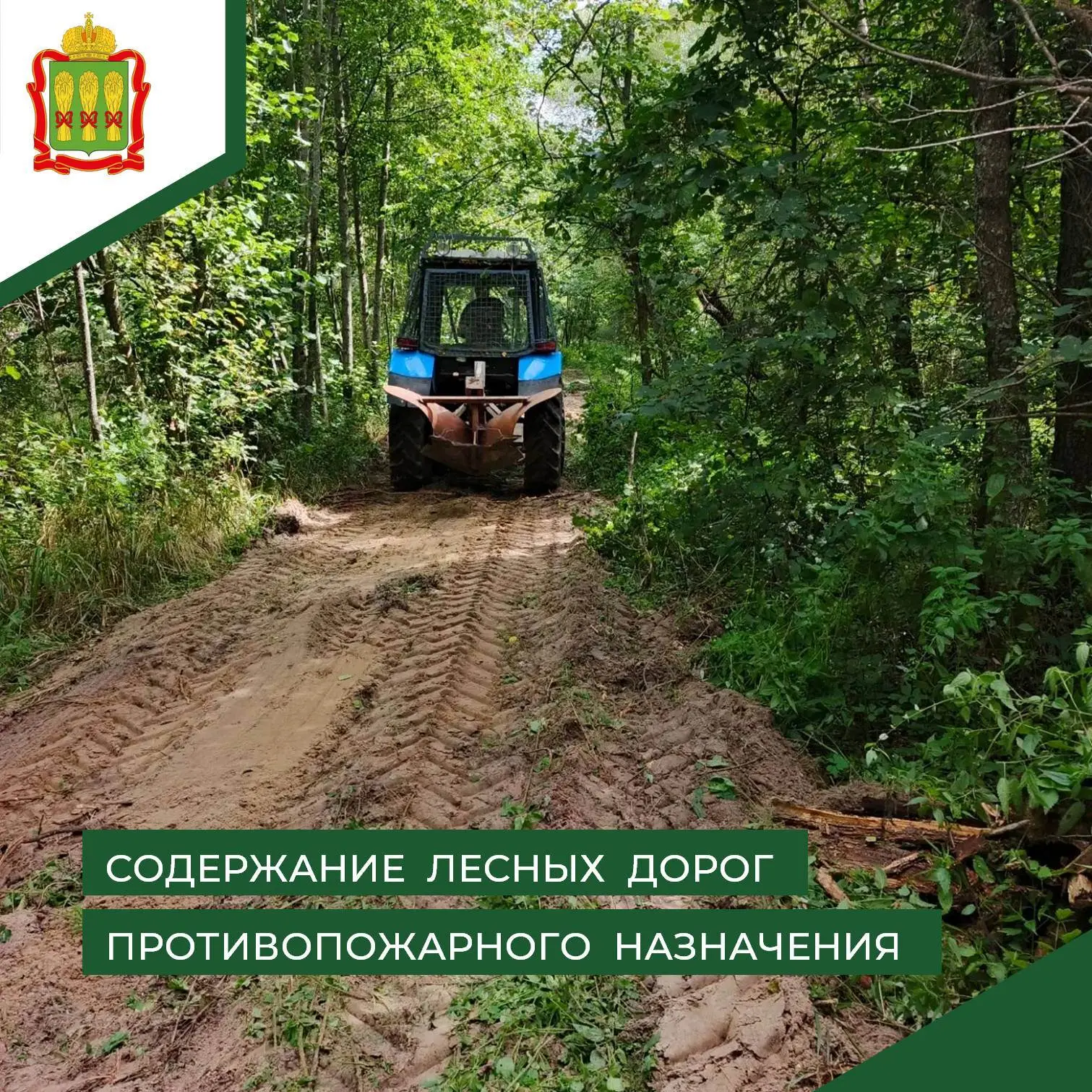 🚜 В рамках исполнения государственного задания на территории лесного фонда Шемышейског...