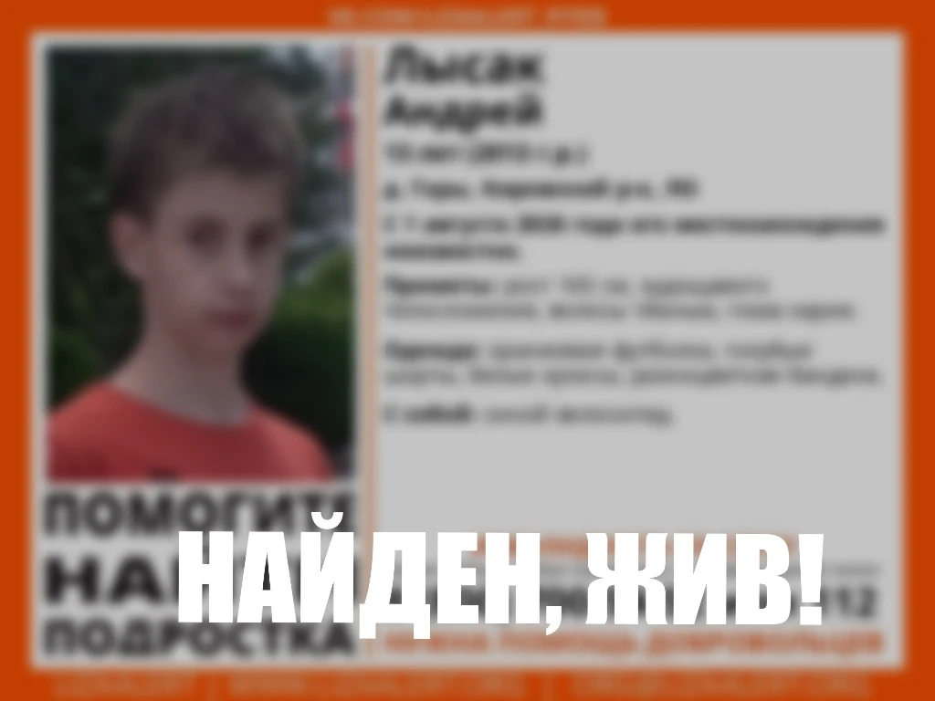 Пропал Лысак Андрей, 13 лет, дер. Горы, Кировский р-н, ЛО