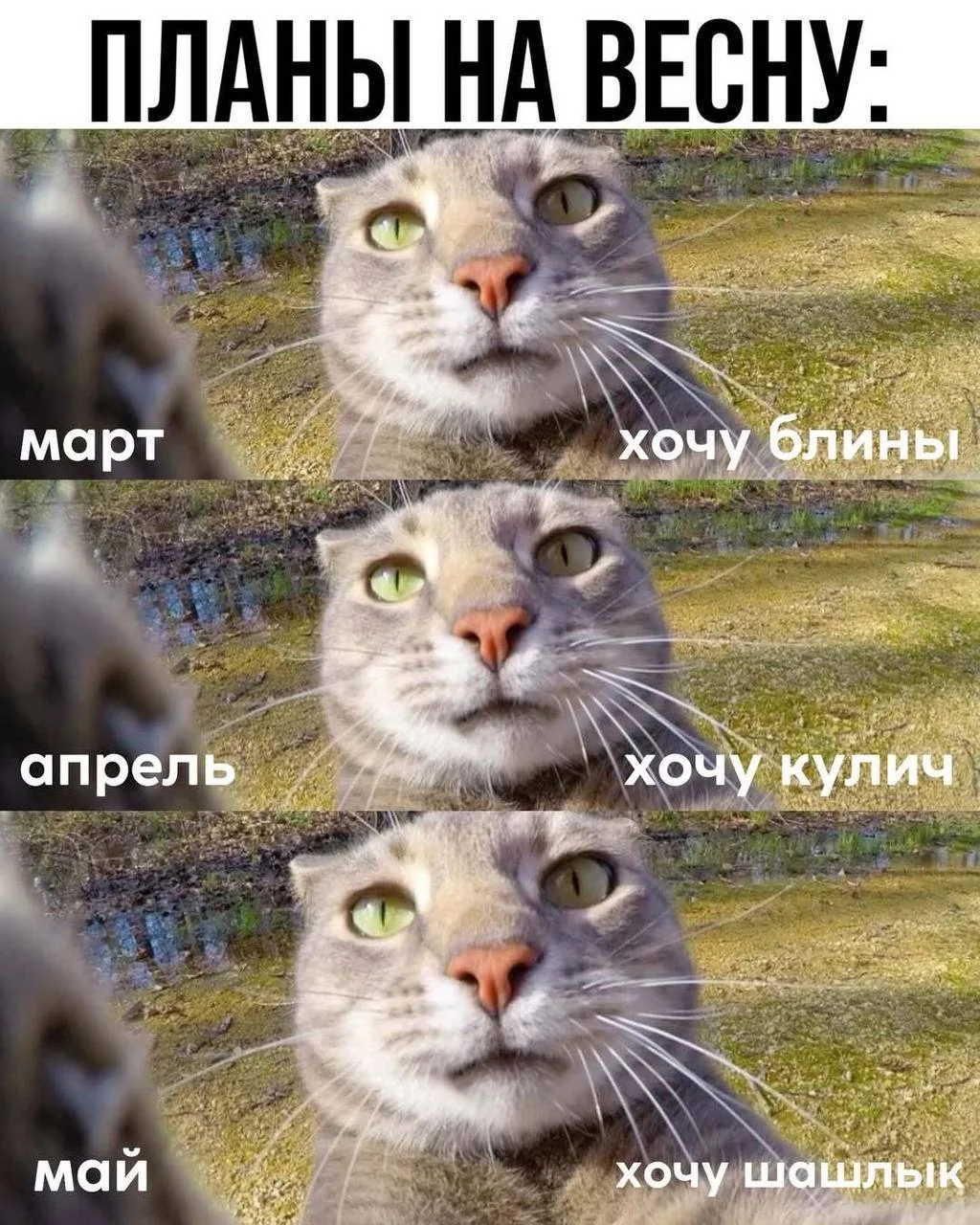 Планы по жизни: хочу в путешествие
