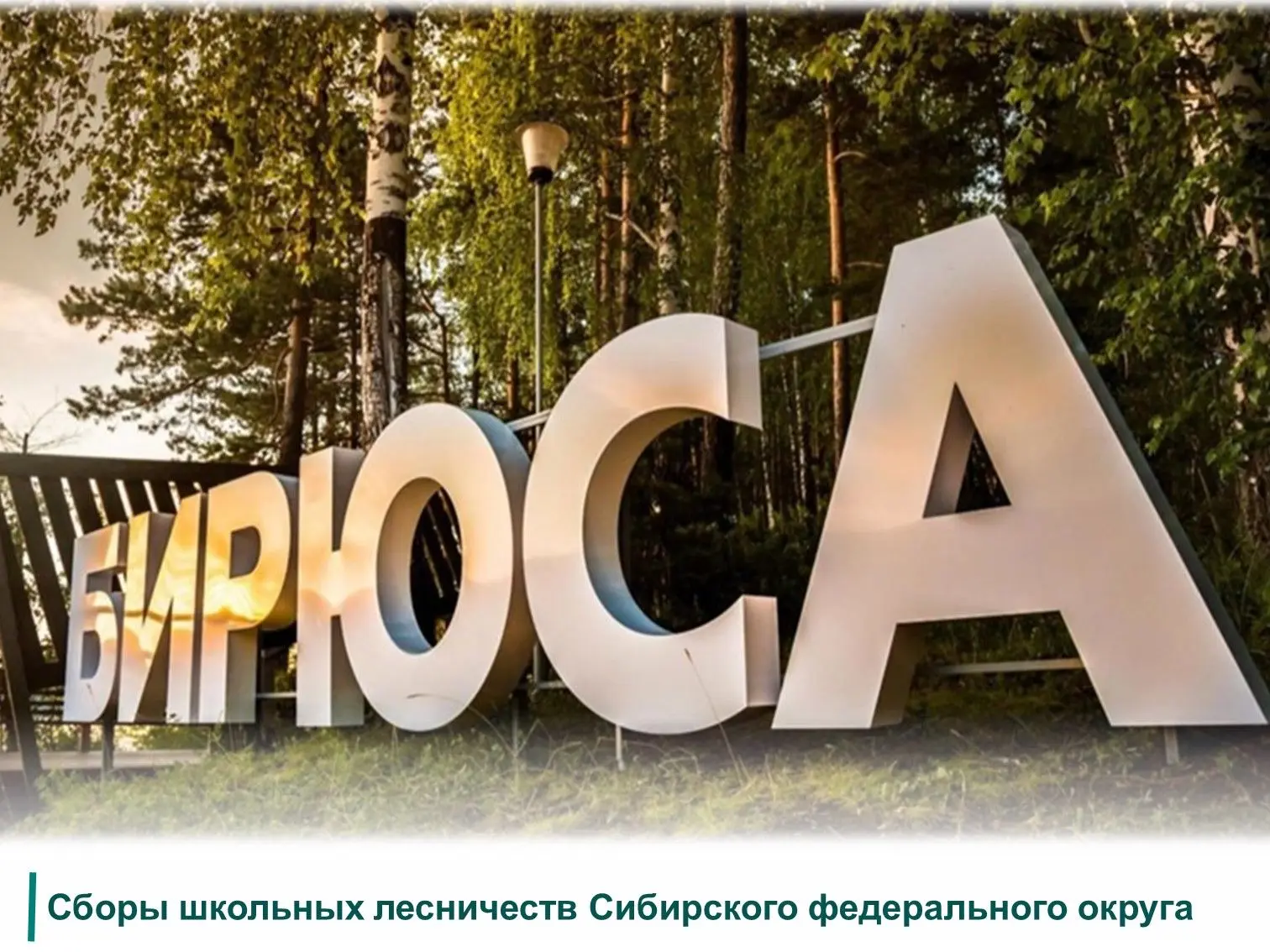 ☝Уже на этой неделе 30 июля откроются вторые Сборы (далее – Сборы) школьных лесничеств Сибирского фе