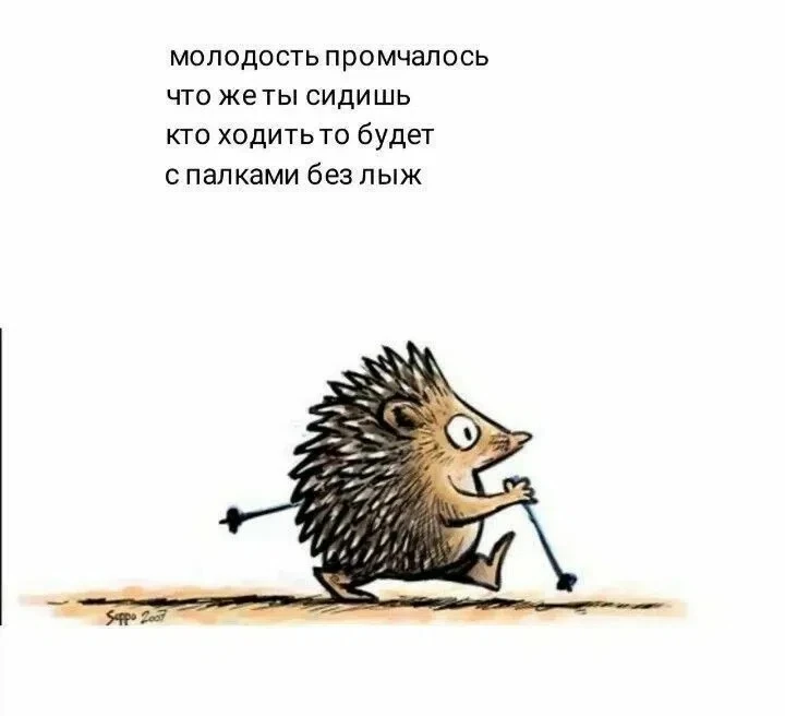 Женский юмор