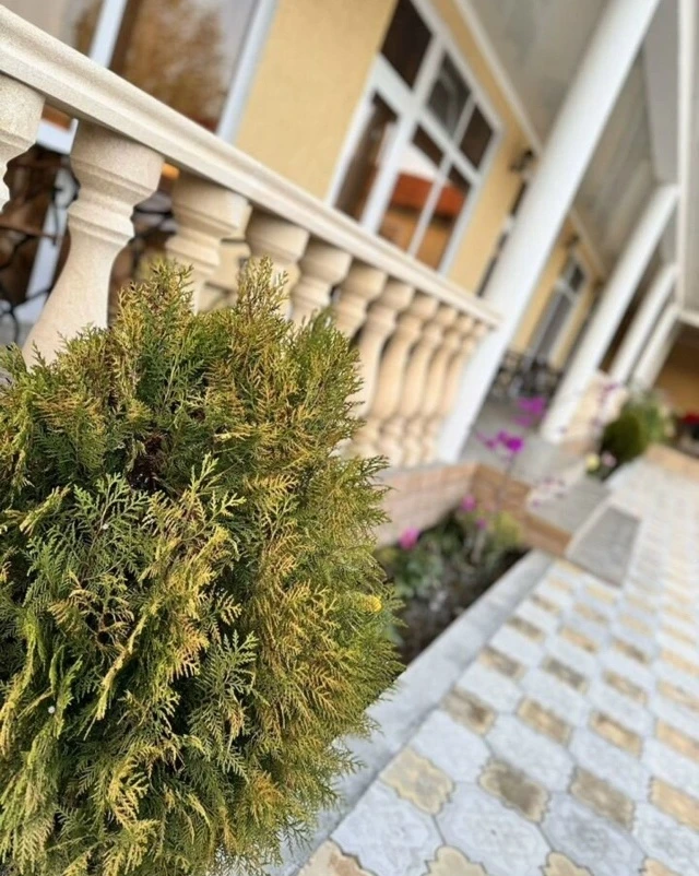 #АБХАЗИЯ #АЛАХАДЗЫ Ул Туманяна 40Б  18 cтандаpтных номерoв:  Номepа категории «Тpeхмecтный» и «Семей