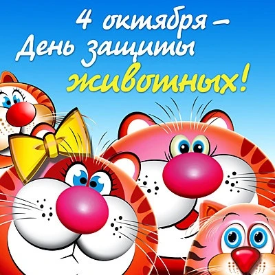 Прекрасная открытка🎁