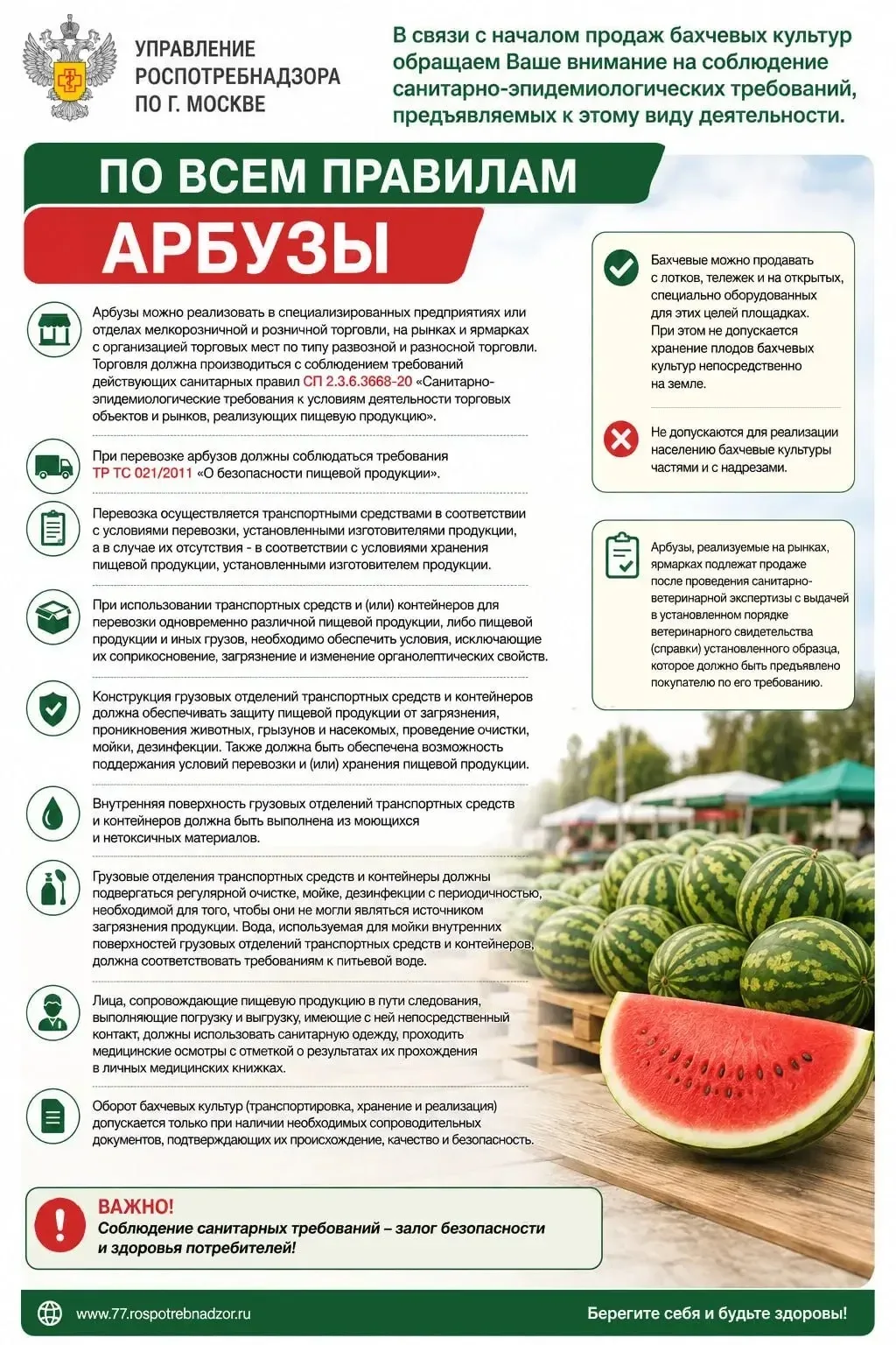 Всемирный день арбуза: как правильно выбрать качественные арбузы 🍉