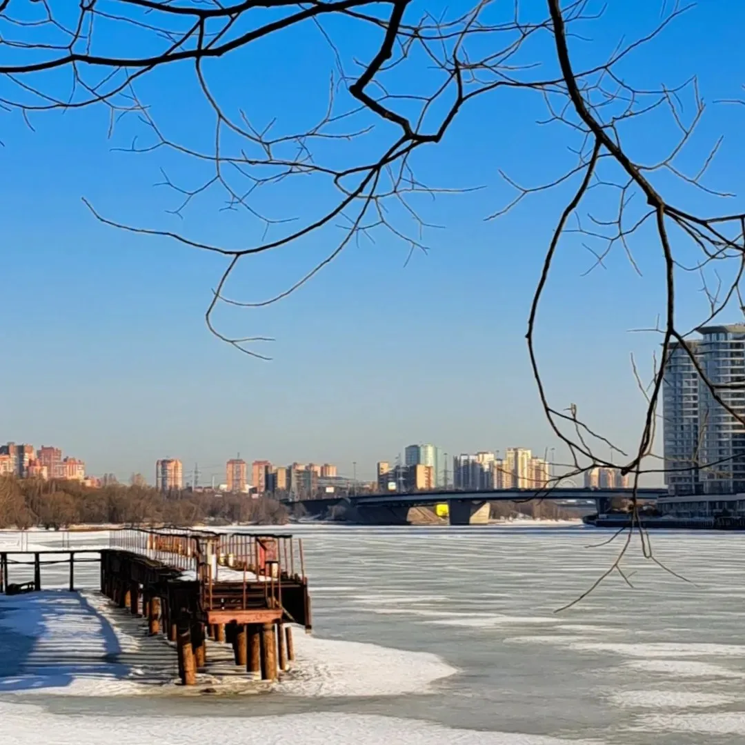 Мартовское утро в парке ☀️