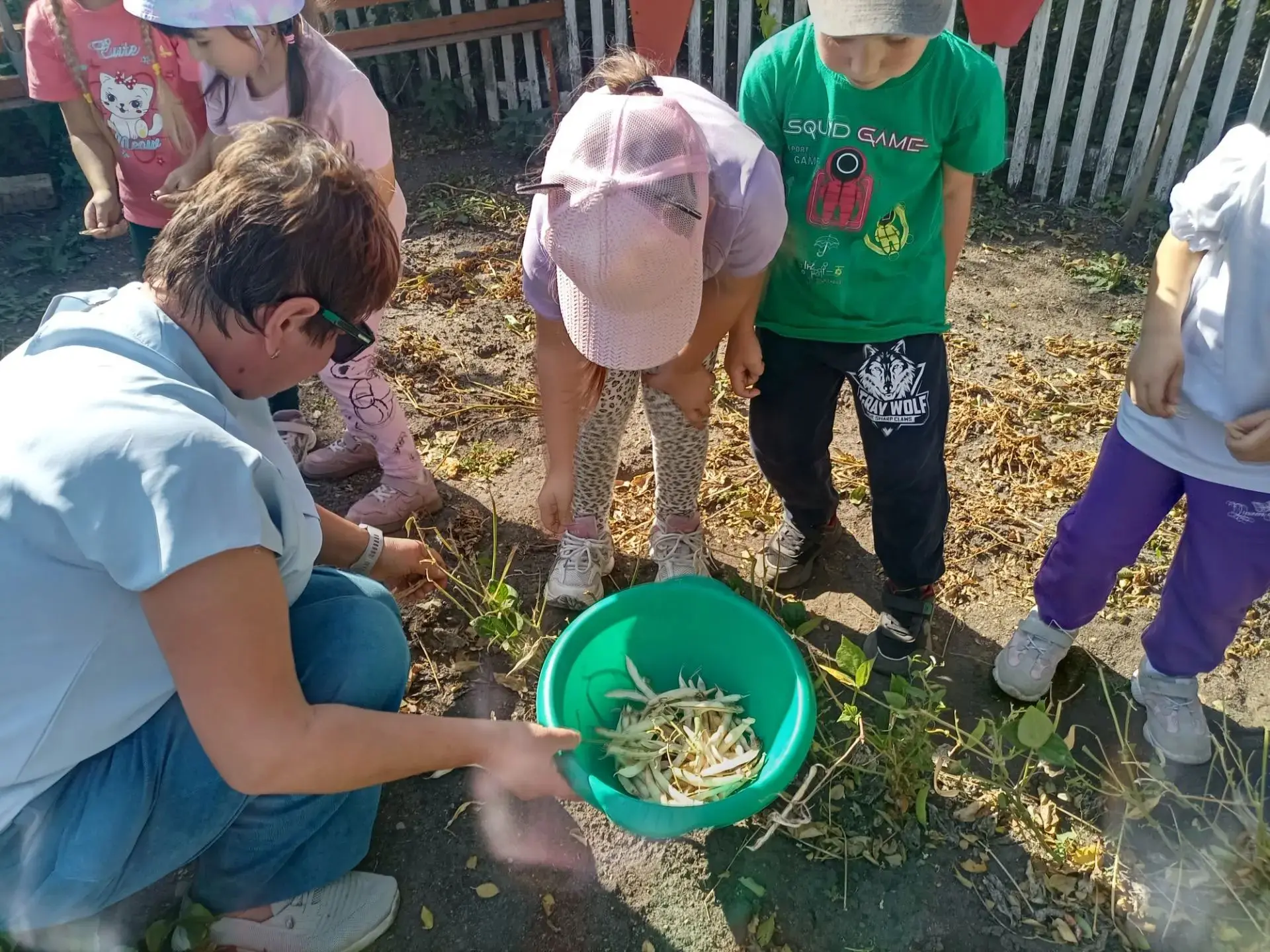 🌱 Наши Эколята собрали урожай! 🍅