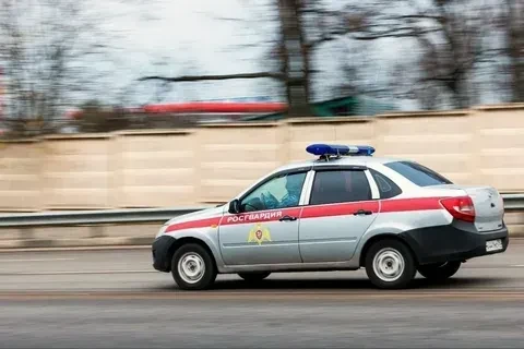 🛡️Сотрудники Росгвардии пресекли правонарушения в Волжском