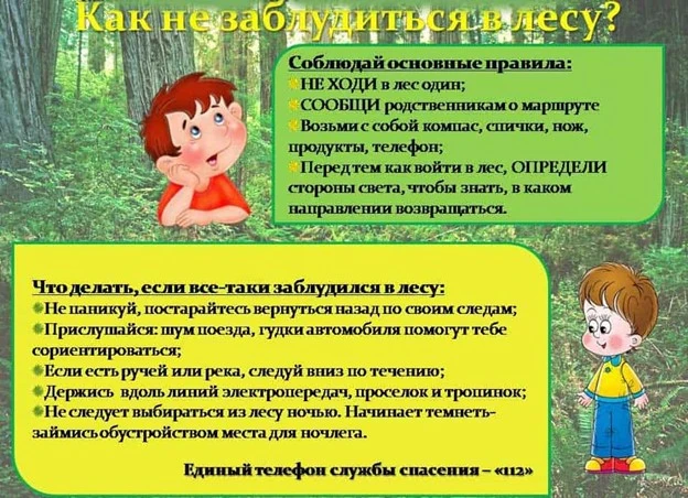 Как не заблудиться в лесу?