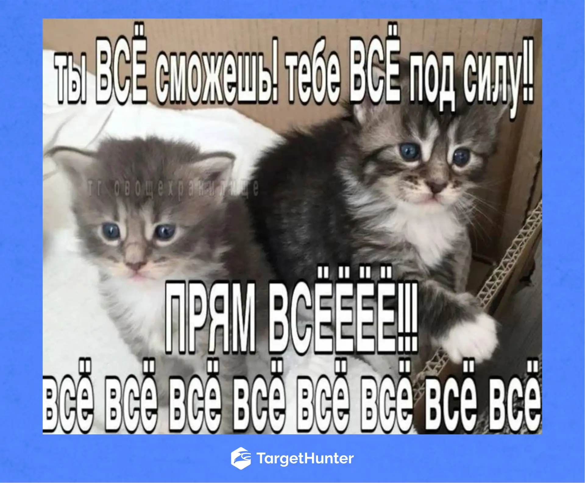 Если первый день лета для тебя не значит отпуск, то тебе нужна эта мощная мотивация и р...