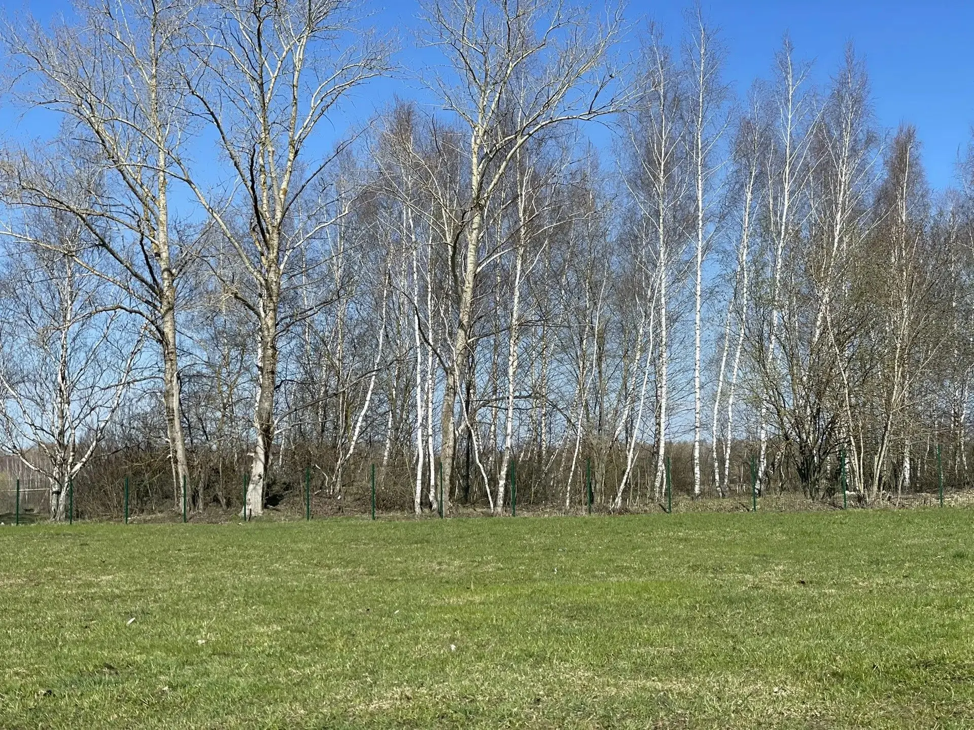 Плывут неспешно облака