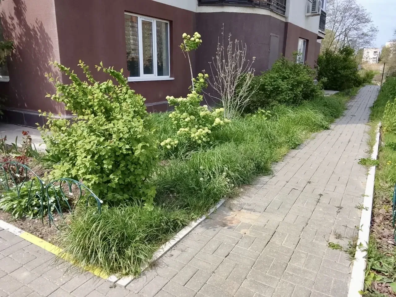 К новости «🌾 Летний сезон: трава под контролем!»