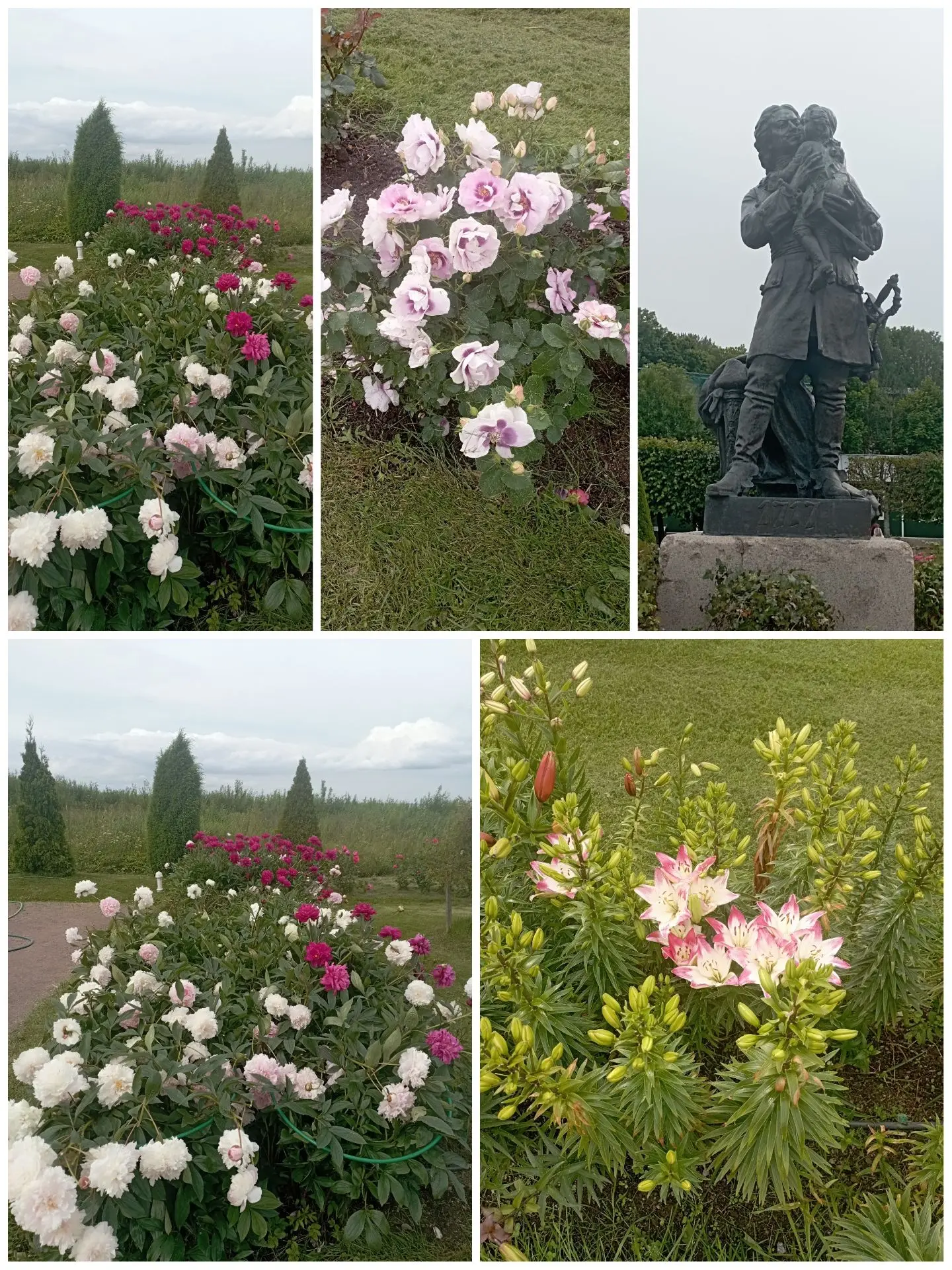📣☀️📸🖼️ Мы заканчиваем наше увлекательное путешествие по Ленинградской области. Встре...