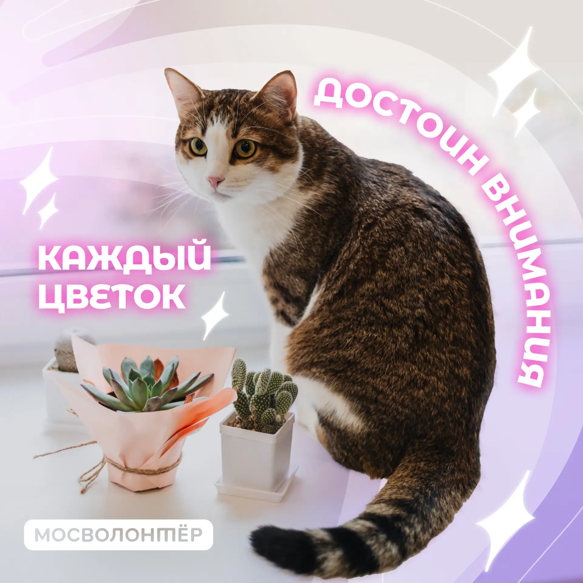 Цветы тянутся к свету. Люди — к добру 🌼