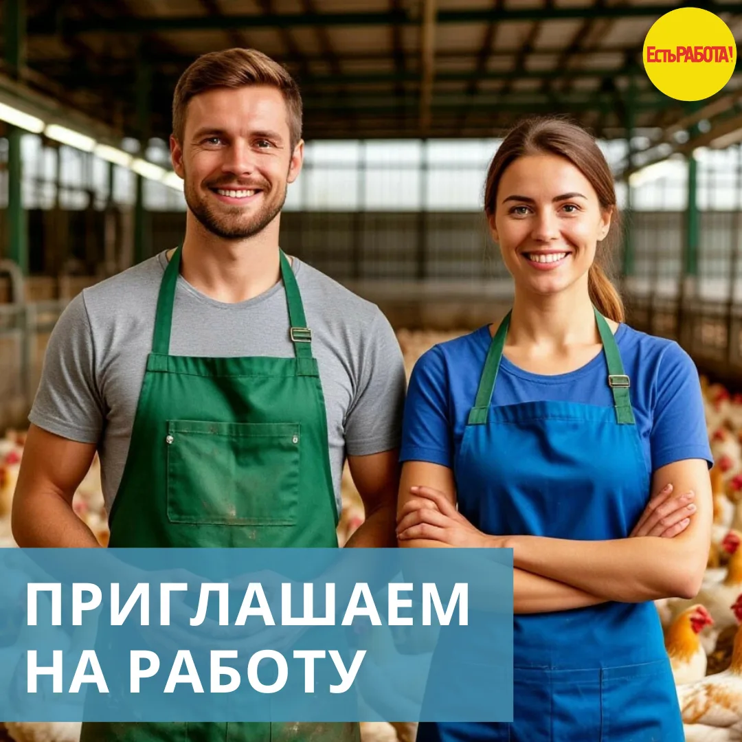Работа на птицефабрике. Вахта. п. Сылва. Пермский край.