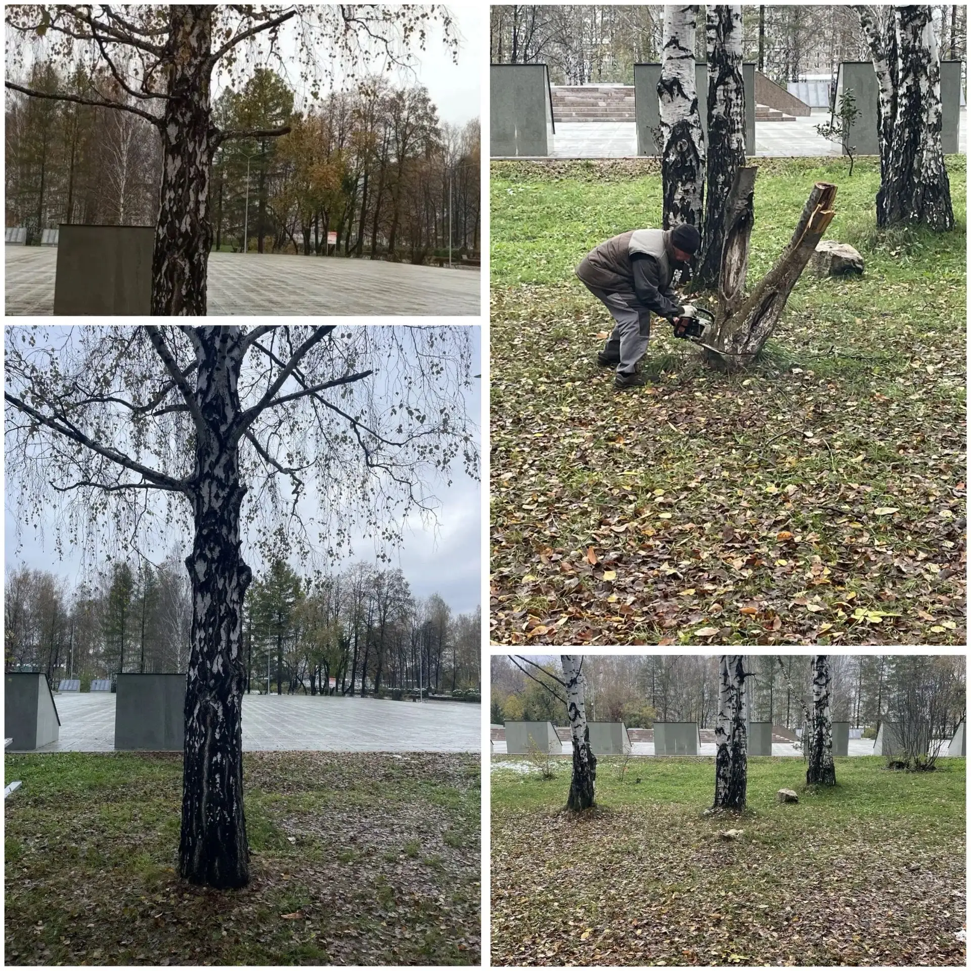 Следим за руками☝🏻