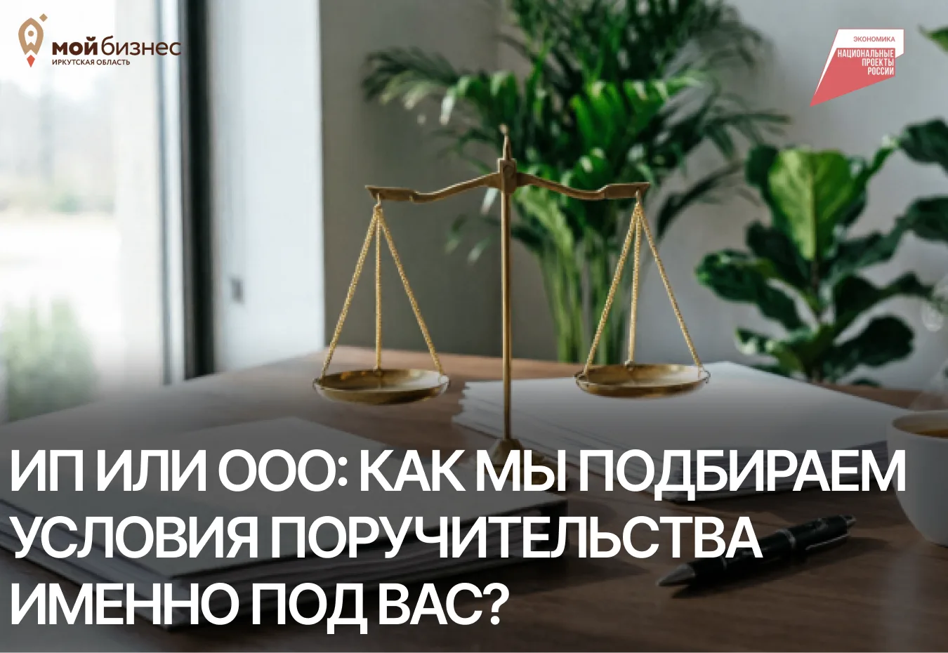 ⚖️ ИП или ООО: как мы подбираем условия поручительства именно под вас?