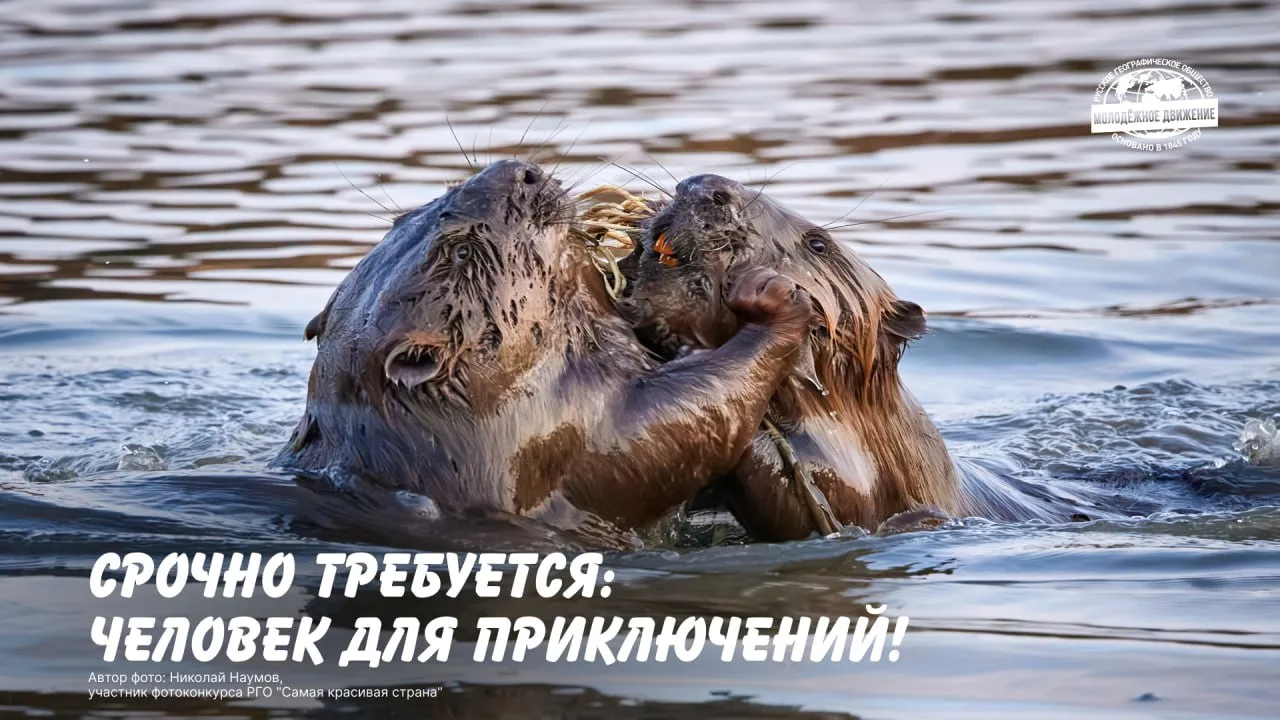 🌿 А каким ты запомнишь это лето?