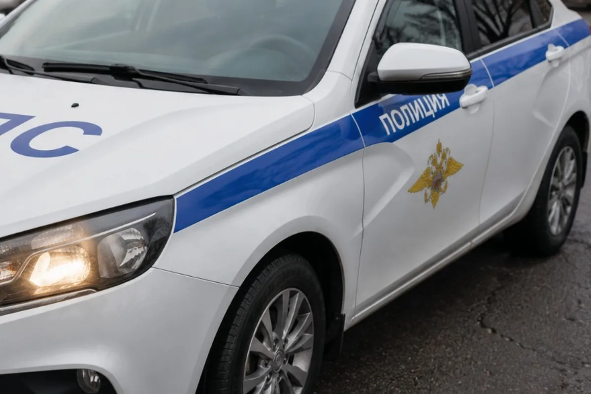 Два расчленённых тела нашли в машине в Нижегородской области — погибшими могли быть баб...