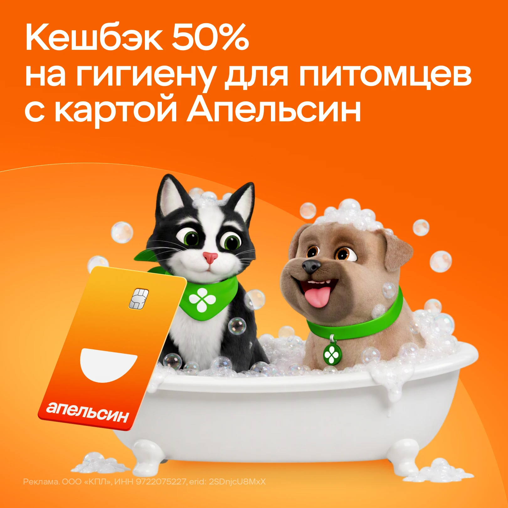 Чистые лапки — счастливый хвостик! 🐾